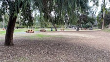 Enlarge photo 126