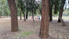 Enlarge photo 127