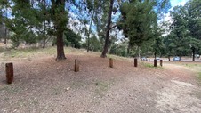 Enlarge photo 129