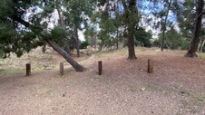 Enlarge photo 130