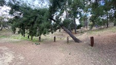 Enlarge photo 131