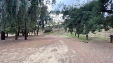 Enlarge photo 132