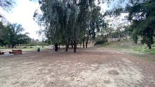 Enlarge photo 133