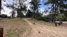 Enlarge photo 134