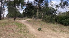 Enlarge photo 135