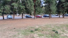 Enlarge photo 137