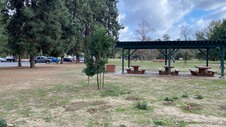 Enlarge photo 138