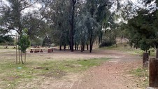 Enlarge photo 139
