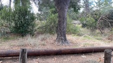 Enlarge photo 140
