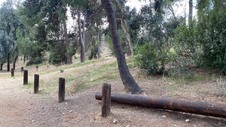Enlarge photo 141