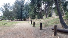 Enlarge photo 142