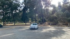 Enlarge photo 146