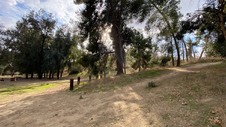Enlarge photo 147