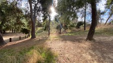 Enlarge photo 148