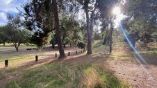 Enlarge photo 149