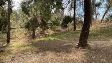 Enlarge photo 151