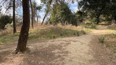 Enlarge photo 152