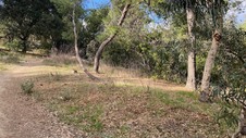 Enlarge photo 153