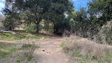 Enlarge photo 155