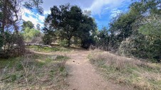 Enlarge photo 156