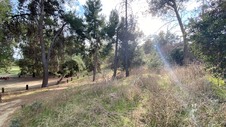 Enlarge photo 157