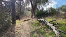 Enlarge photo 159