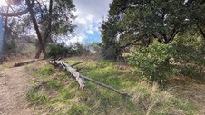 Enlarge photo 161