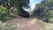 Enlarge photo 162