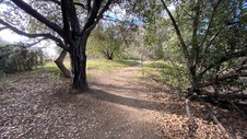 Enlarge photo 163