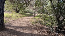 Enlarge photo 164
