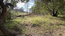 Enlarge photo 165