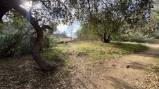 Enlarge photo 166