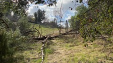 Enlarge photo 168