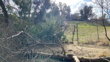 Enlarge photo 169