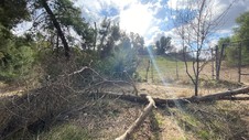 Enlarge photo 170