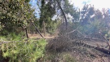 Enlarge photo 171