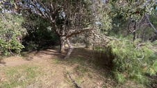 Enlarge photo 172