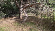 Enlarge photo 173