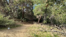 Enlarge photo 174