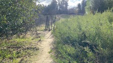 Enlarge photo 175