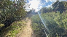 Enlarge photo 176