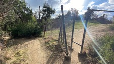 Enlarge photo 178