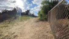 Enlarge photo 179