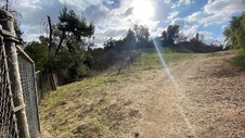Enlarge photo 180