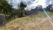 Enlarge photo 181