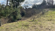 Enlarge photo 182