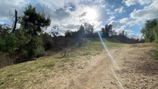Enlarge photo 186