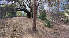 Enlarge photo 188
