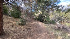 Enlarge photo 189