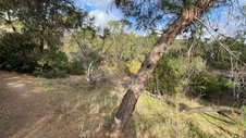 Enlarge photo 190